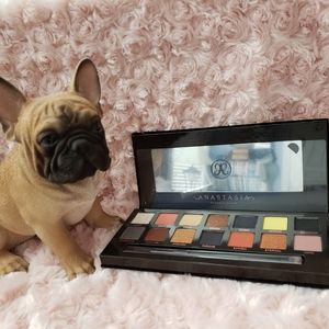 Anastasia Beverly Hills Prism Eyeshadow Palette